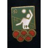 Moskva olümpiamängud 1980, võrkpall