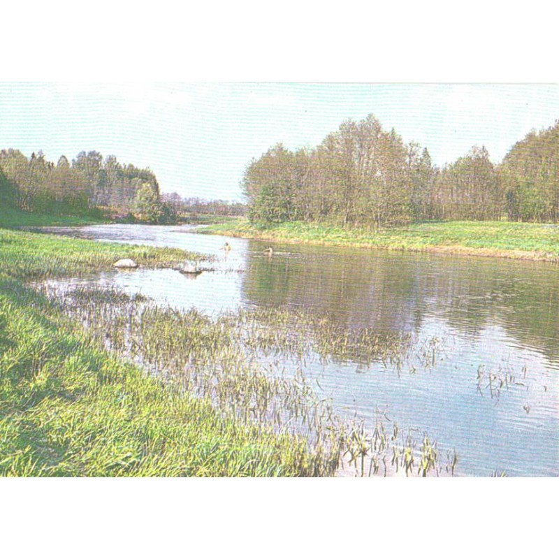 Pärnu jõgi, 1982