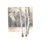 talvine mets eestis, Tellimus nr. 937 1968