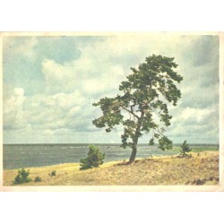 Pärnu lahe rand, 1955