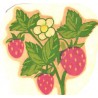 Vesikleepekas Maasikad, enne 1990