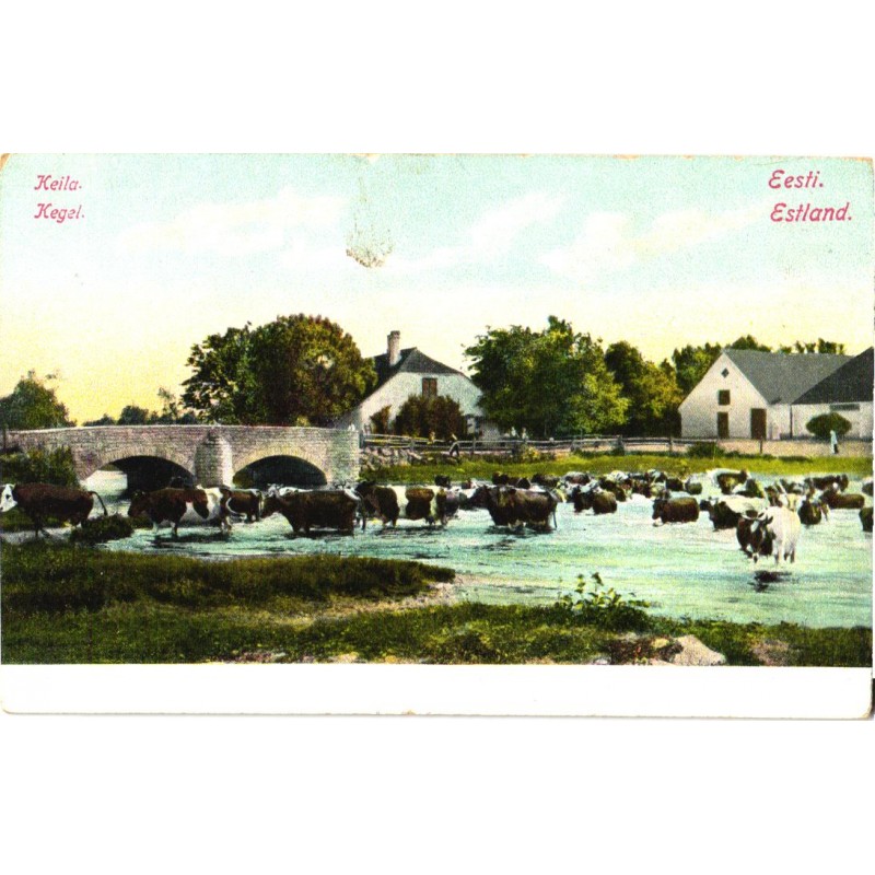 Keila sild ja majad, lehmad, enne 1920