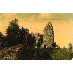 Helme ordulinnuse varemed, enne 1920