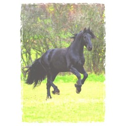 Hüplev must hobune