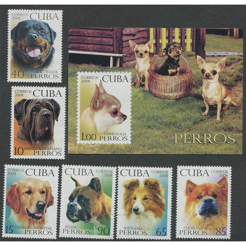 Kuuba 6 marki + plokk, koerad, täissari, 2008, MNH