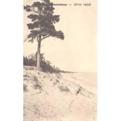 Saaremaa, Järve rand...