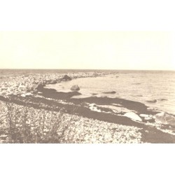 Saaremaa rannik kividega, 1926