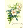 Kannikesed postkaardil, lilled, enne 1934