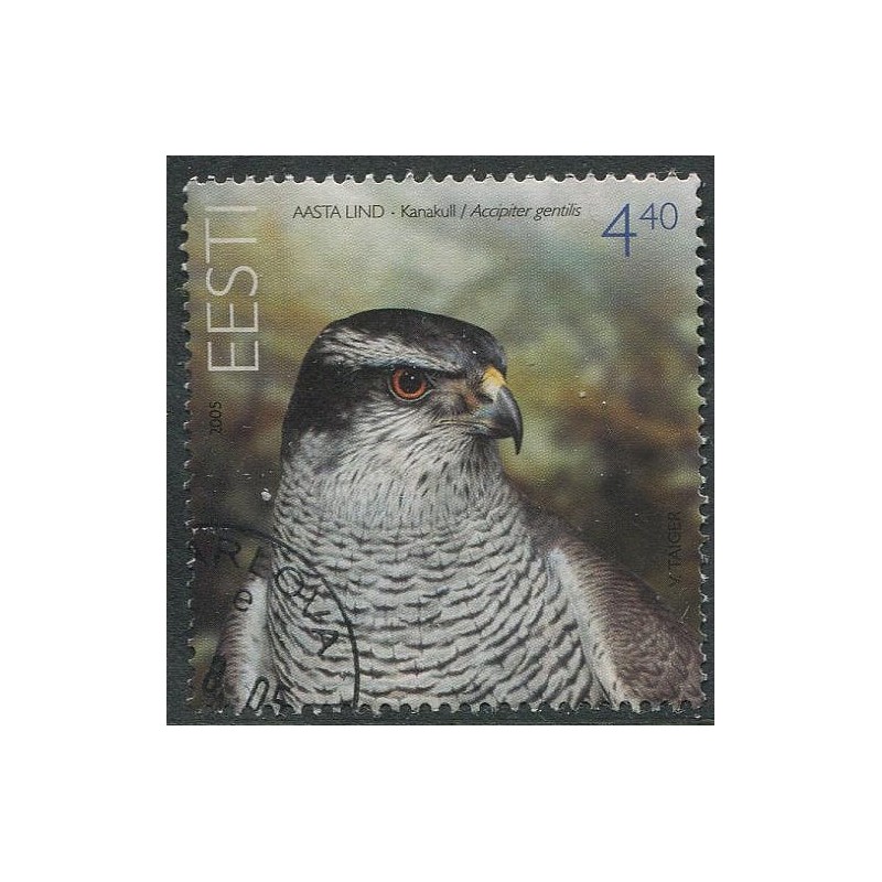 Eesti mark aasta lind Kanakull 2005
