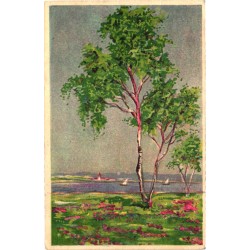 Kasepuu mere kaldal, enne 1940