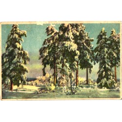 Talvine mets, enne 1939