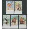 Kuuba margisari kaamel, ninasarvik, panda, ahv, veis, 1997, MNH