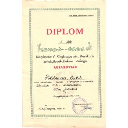 Diplom - I järk, Kingissepa...