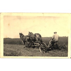 Hobused adra ees, enne 1938
